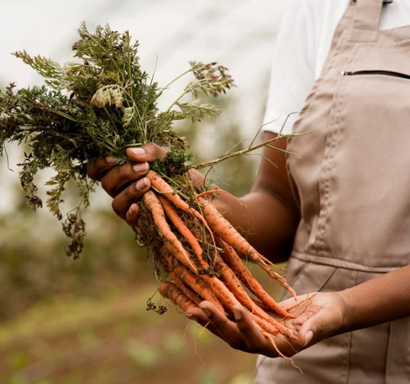 Food-Butlers-Regional---2